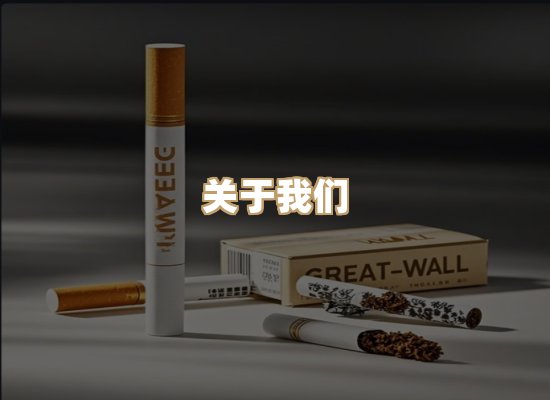 关于御龙烟网